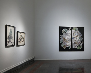 Earth Citizens, 2018